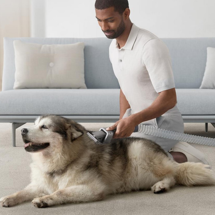 Dyson Accessori | Kit per la cura degli animali
