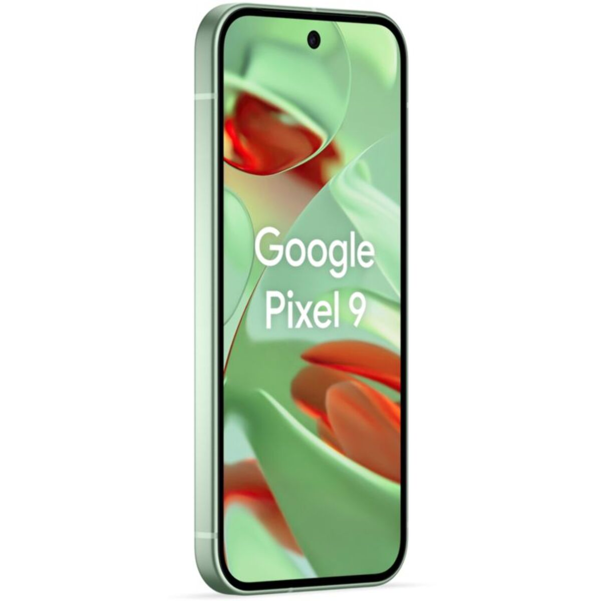 Smartphone GOOGLE Pixel 9 Vert Amande 128Go