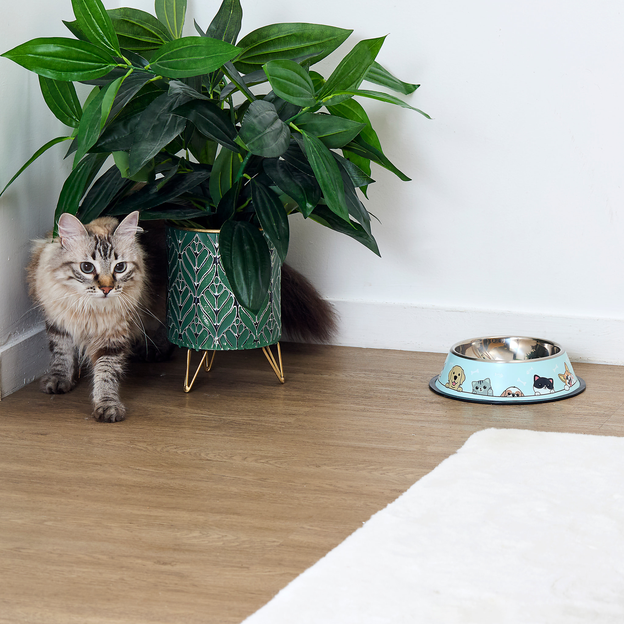 Gamelle Anti Derapante