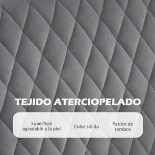 Sofá de 2 Plazas Tapizado en Terciopelo Sofá de Salón con 2 Almohadas Reposabrazos y Patas de Acero Doradas Sofá Pequeño Carga 240 kg para Dormitorio Oficina 124x69x76 cm Gris