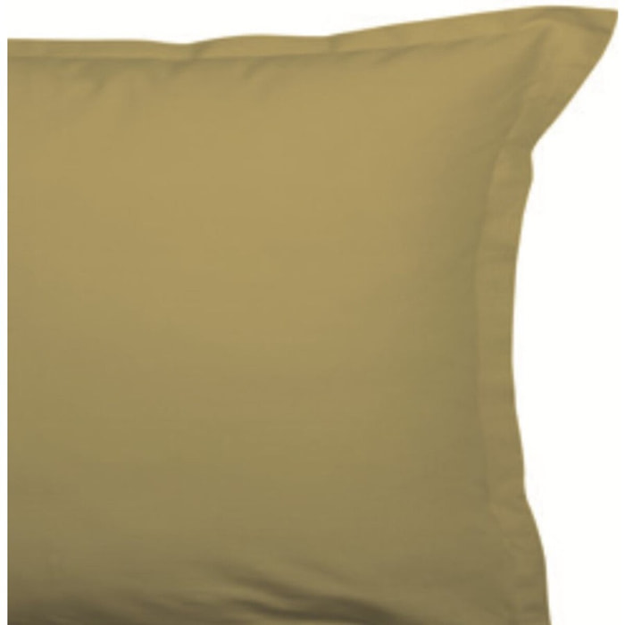 Lot de 2 taies Volant Plat Pique Gold