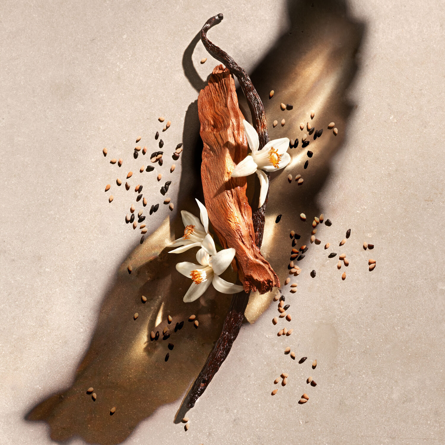 ZADIG - Recharge Eau de parfum