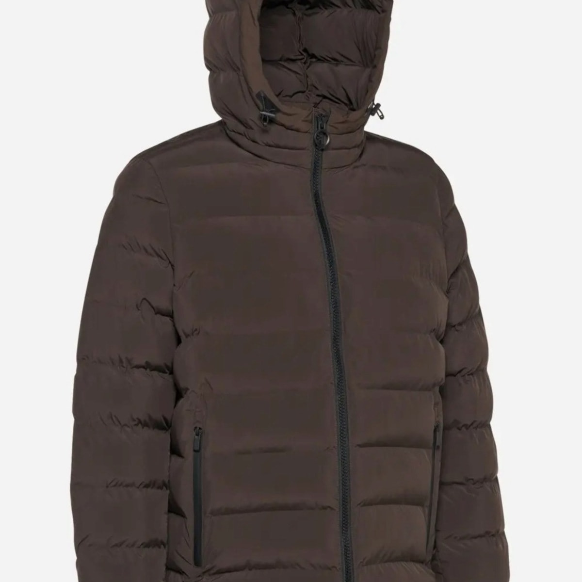 Chaquetas Hombre de la marca GEOX  modelo M SPHERICA MARRON