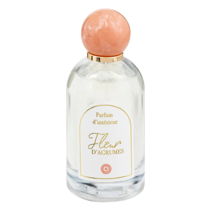 Spray d'ambiance "Wild romance" 100ml