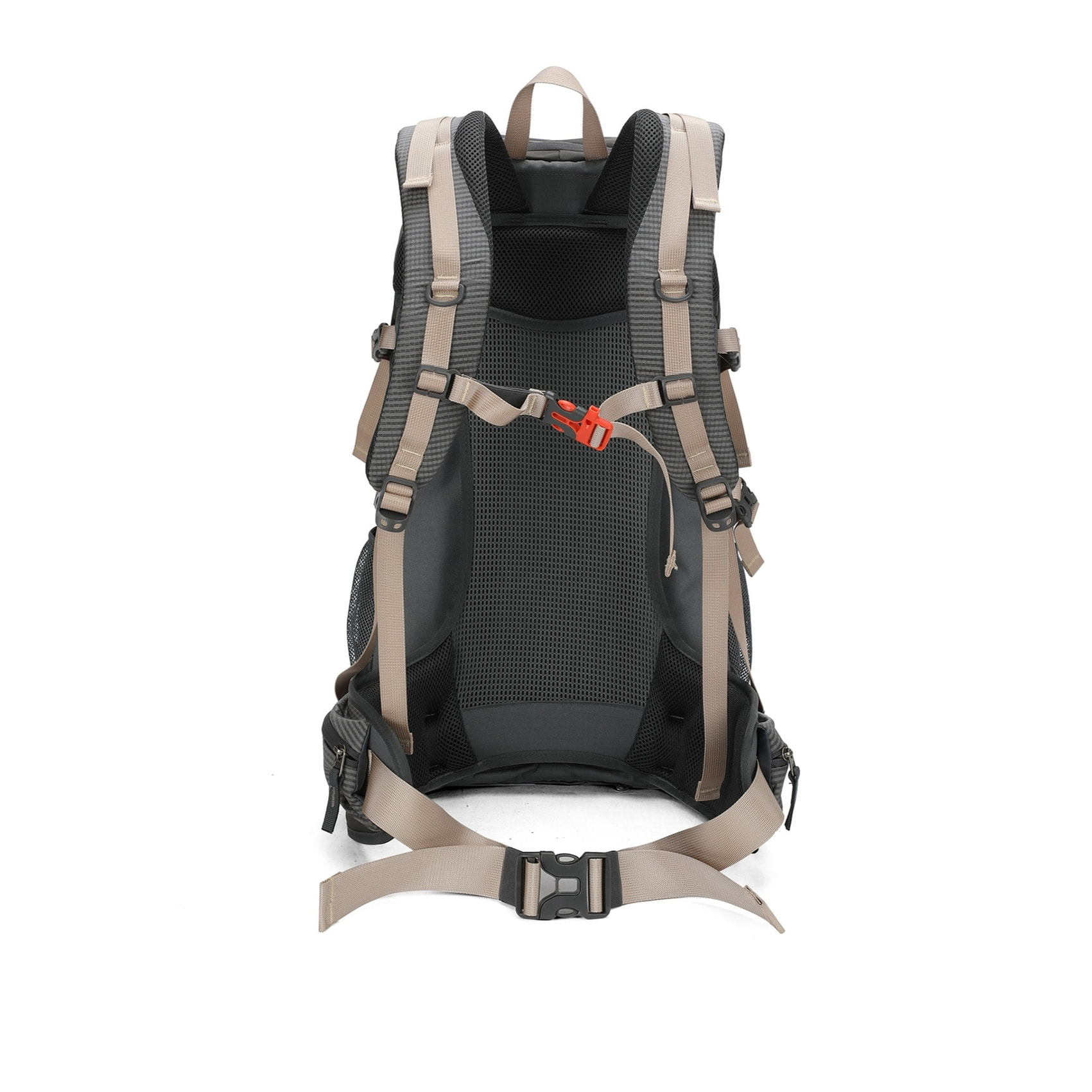 Zaino Unisex Terranova - Poliestere - Casual - 54.0 x 33.0 x 18.0 cm