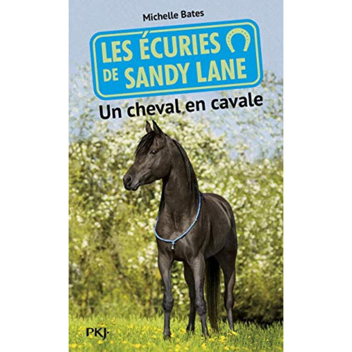 Bates, Michelle | 7. Les écuries de Sandy Lane : Un cheval en cavale (7) | Livre d'occasion