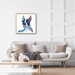 Affiche Ulysses Bouledogue français Affiche sous cadre bois