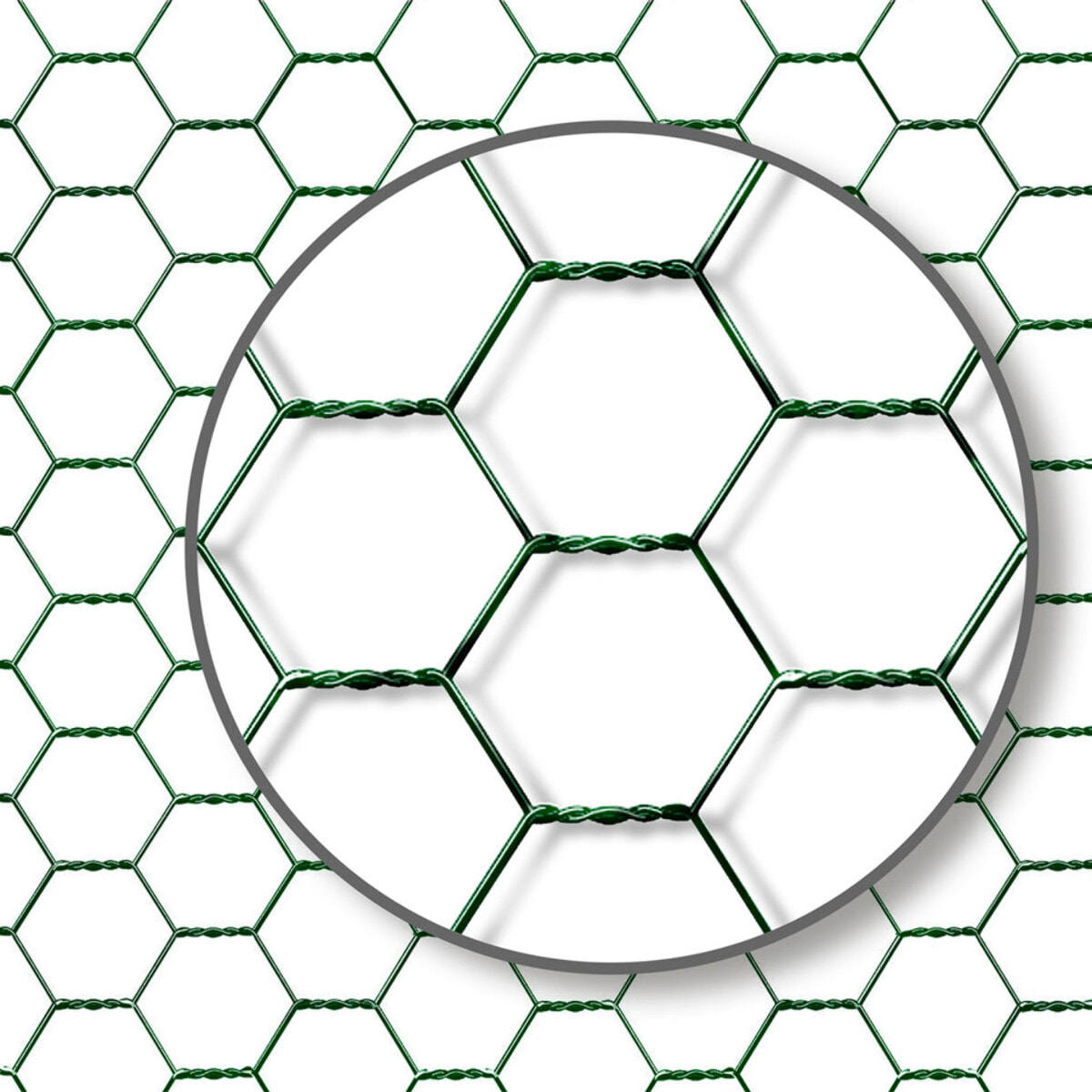 Enclos grillagé pour poules 24m² - 3x8m