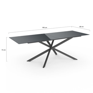Table de jardin plateau en verre trempé noir et pieds croisés 240cm