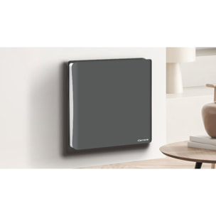 Radiateur inertie double coeur ceramique + film LCD 1000W gris & blanc