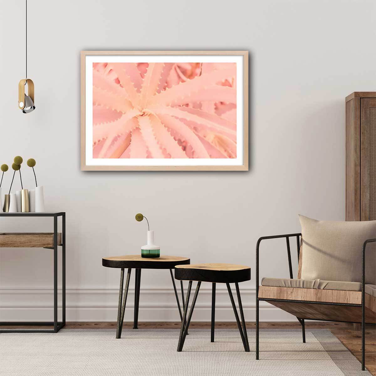 Affiche cactus rose art Affiche + cadre en bois - Chêne