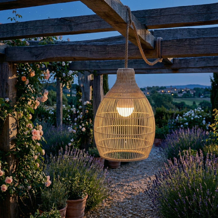 Suspension sans fil HOLIDAY RGB H42CM