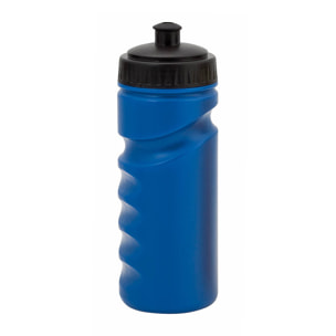 Bidón Iskan 500 ml.