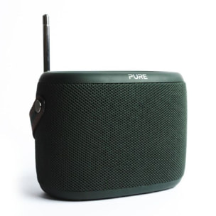 Radio DAB PURE Woodland Green