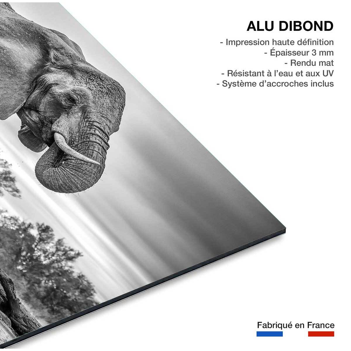Tableau animaux standing proud Tableau alu Dibond