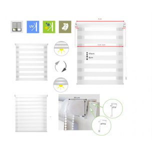 Store enrouleur Polyester Translucide 47x180