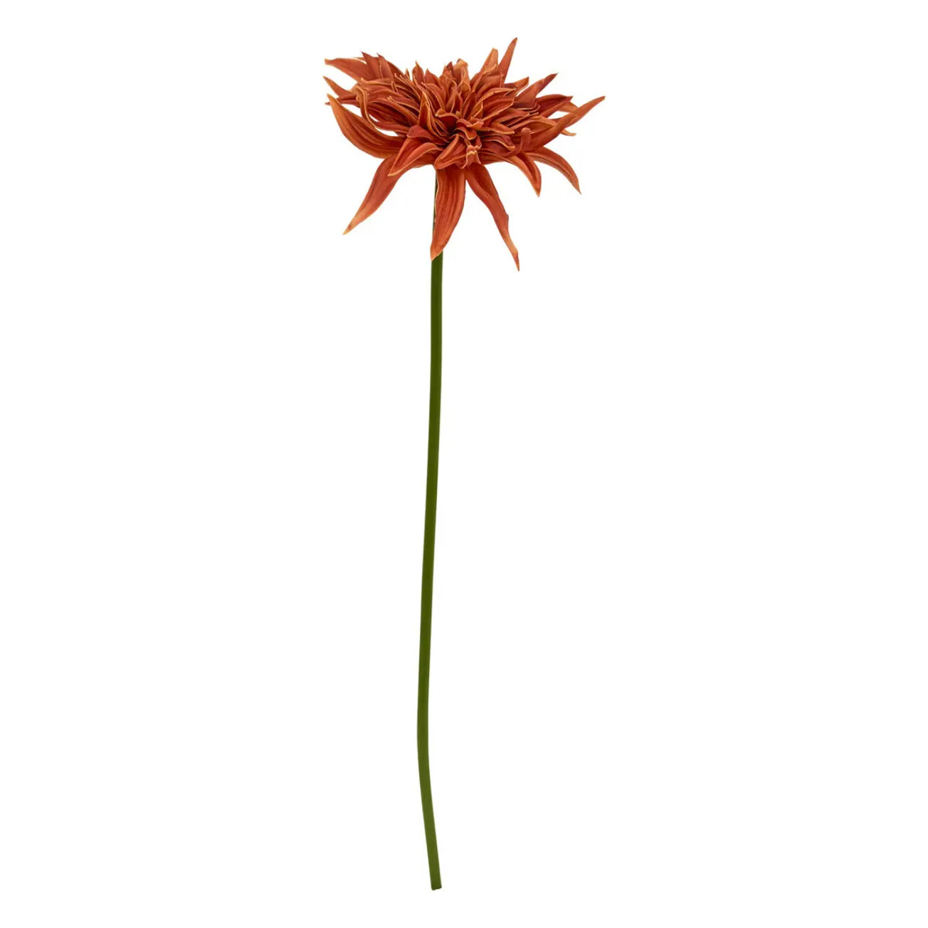 Tige décorative Homy H.55cm