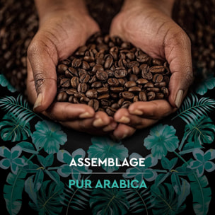 Carte Noire Grains Pérou Bio 500g