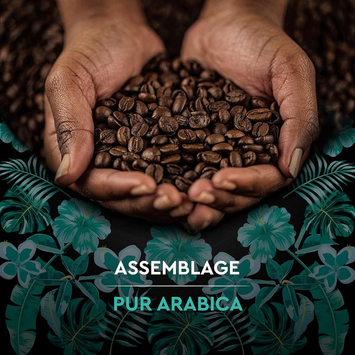 Carte Noire Grains Pérou Bio 500g