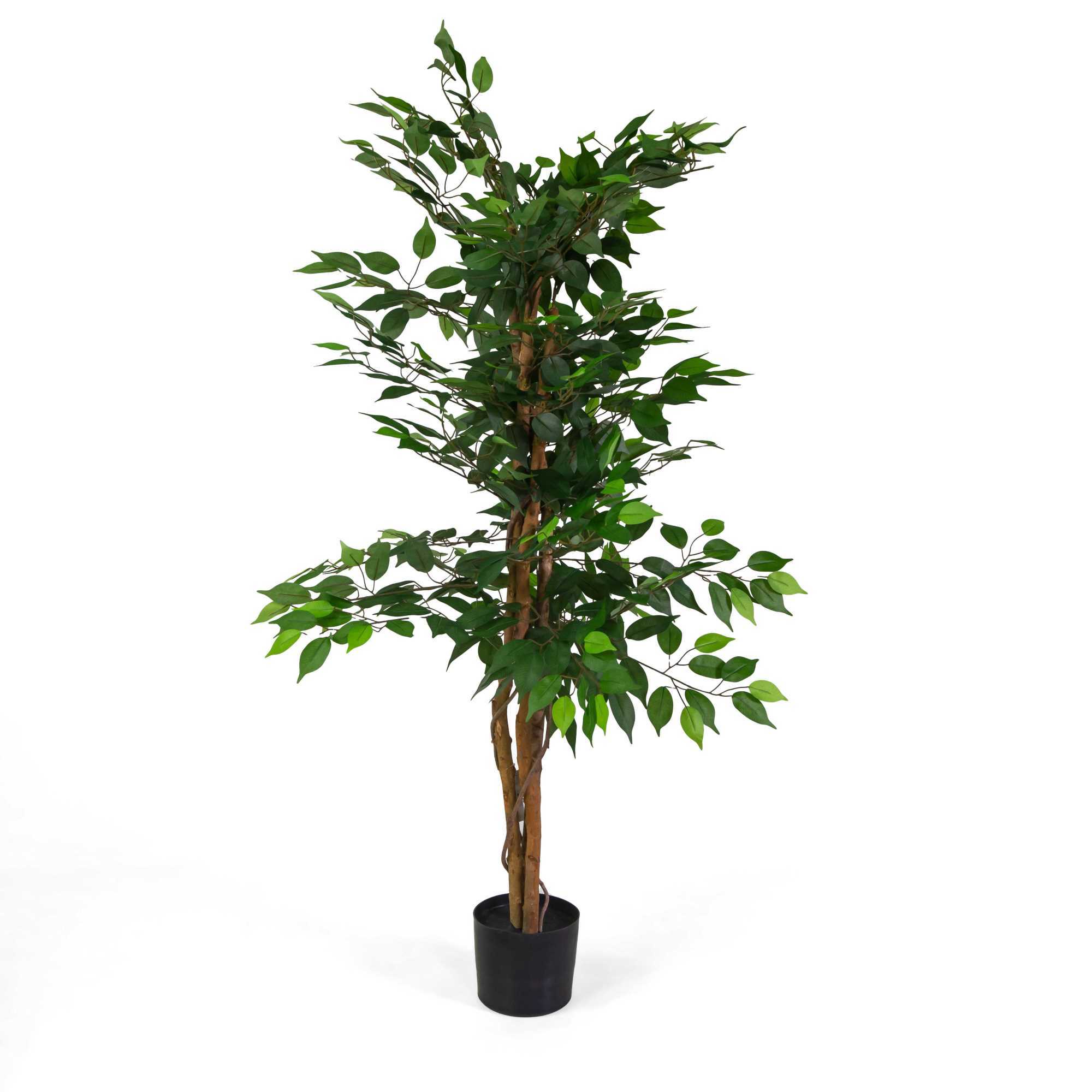 Pianta artificiale Vacchetti in plastica ficus cm h150