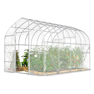 Serre tunnel jardin 12 m² - 2 portes - acier galvanisé - bâche transparente