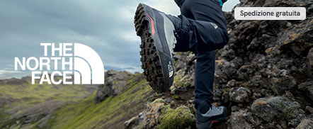 MKTPLACE_Longtail_Shoes_TheNorthFace1