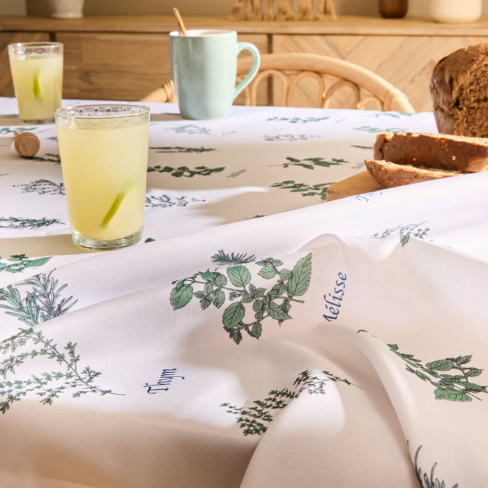 Nappe Garrigue 240x140cm vert clair imprimé aromates