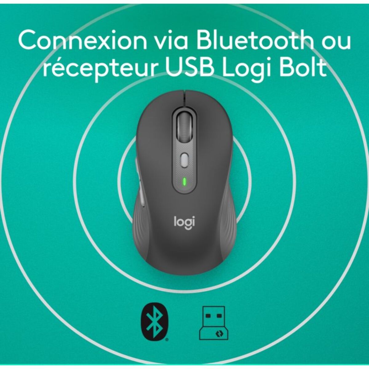 Souris sans fil LOGITECH SIGNATURE PLUS M750 L