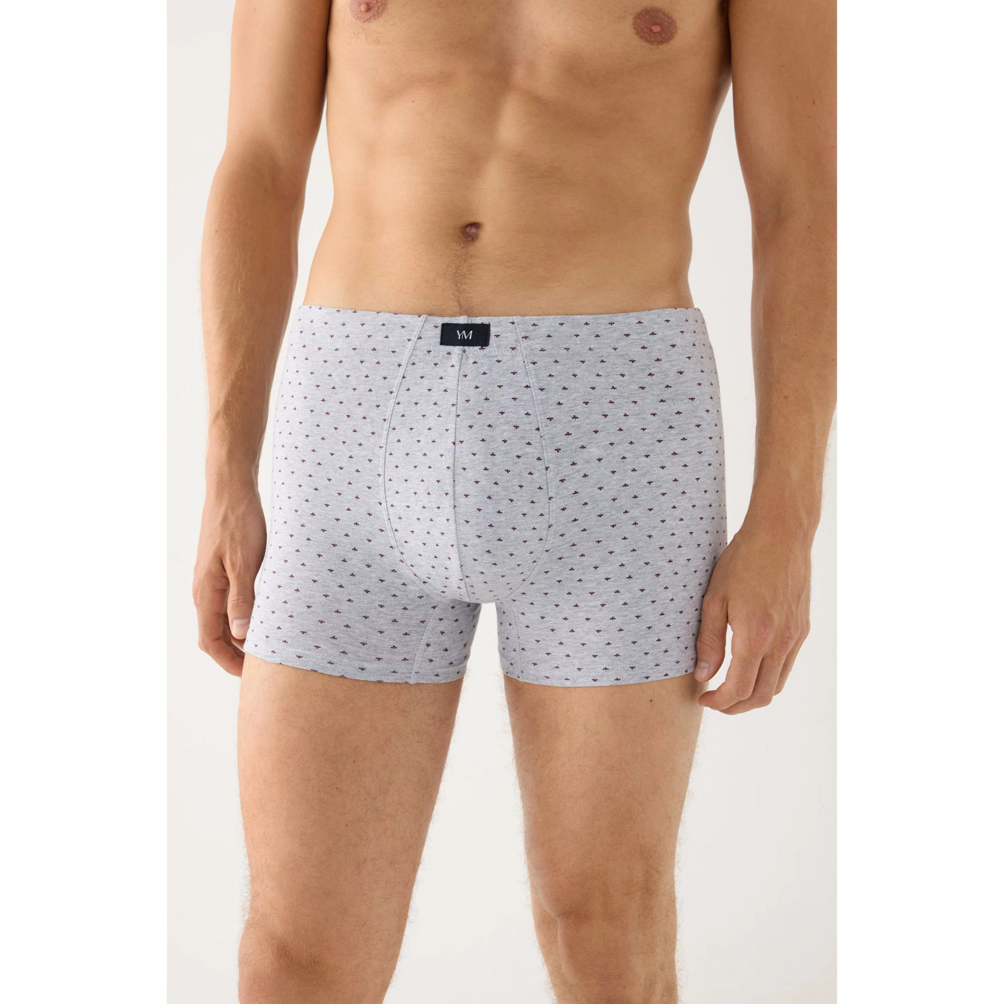 Boxer