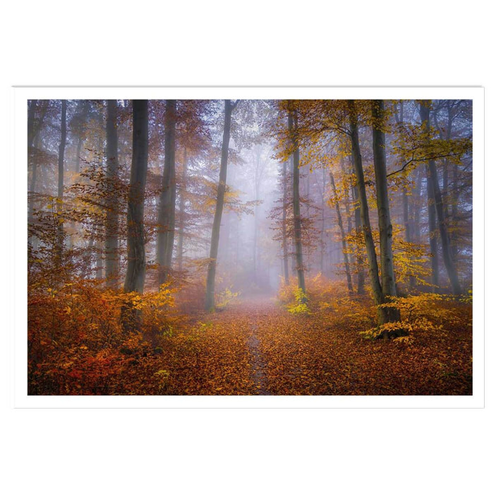 Affiche Chemin d'automne Affiche seule