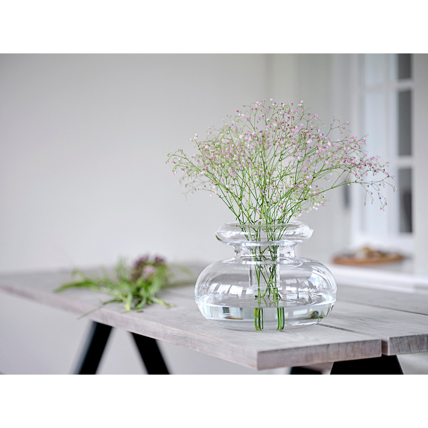 Vase Inu