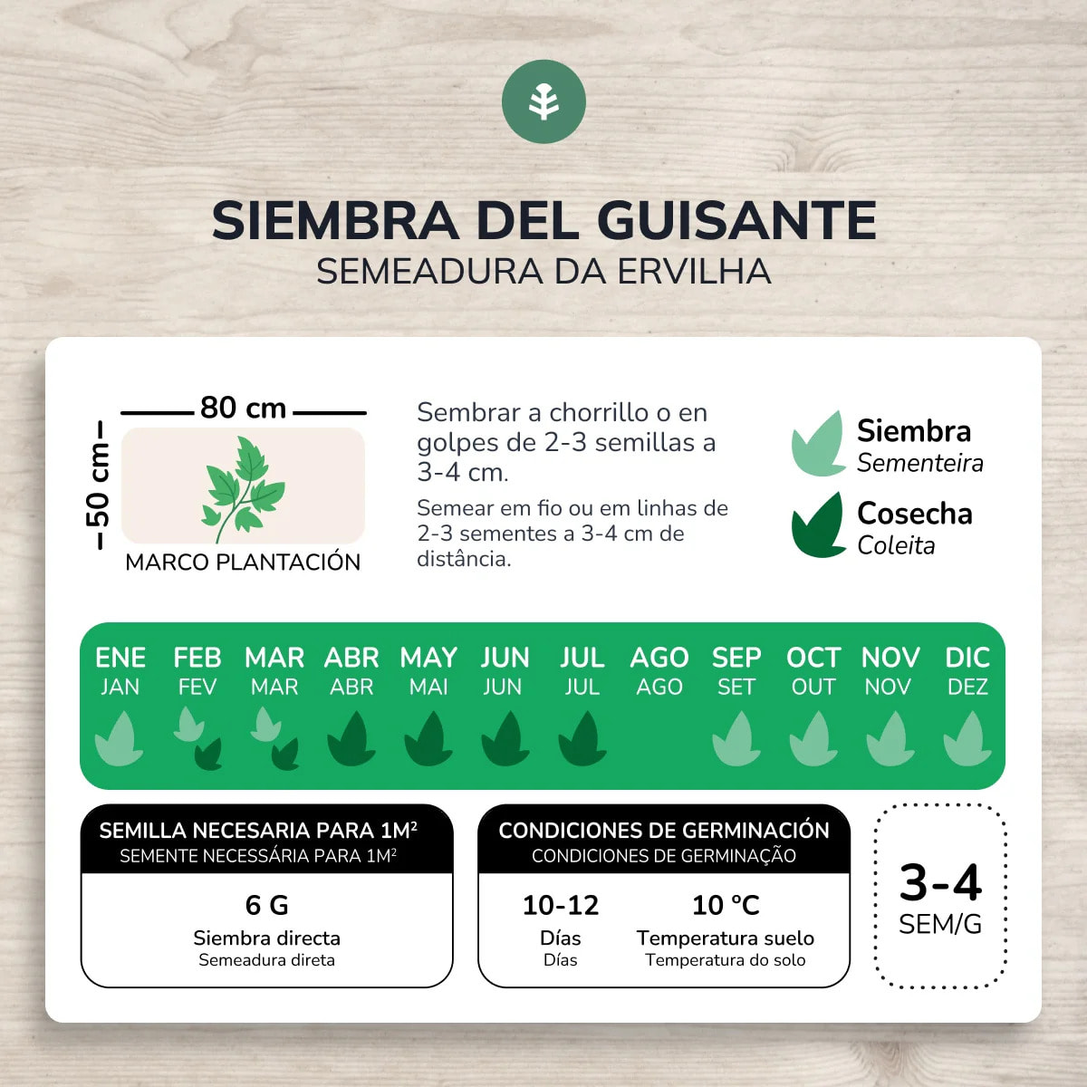 Semillas de Guisante rondo 1/2 enrame ecológicas Planeta Huerto