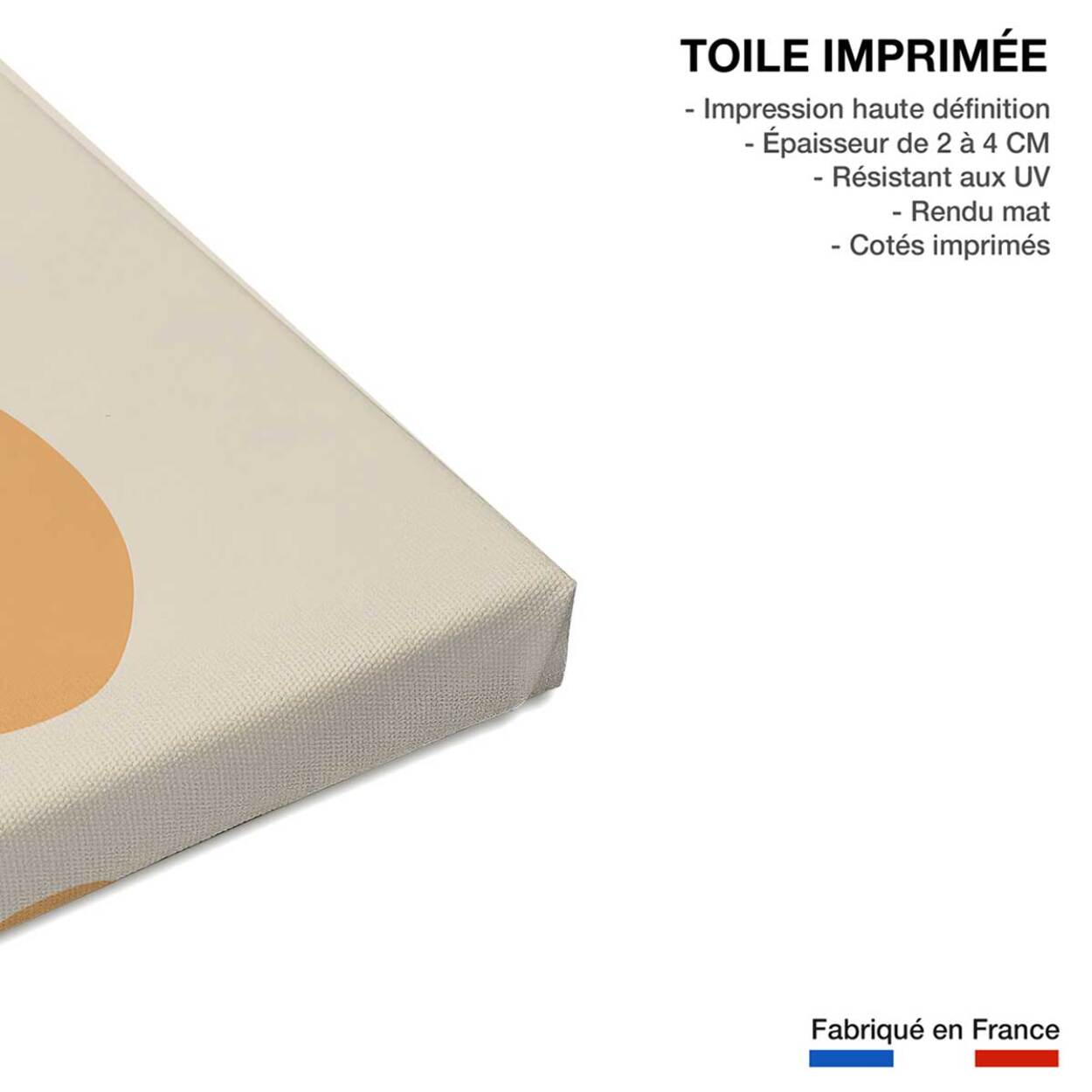 Tableau orange fraiche Toile imprimée