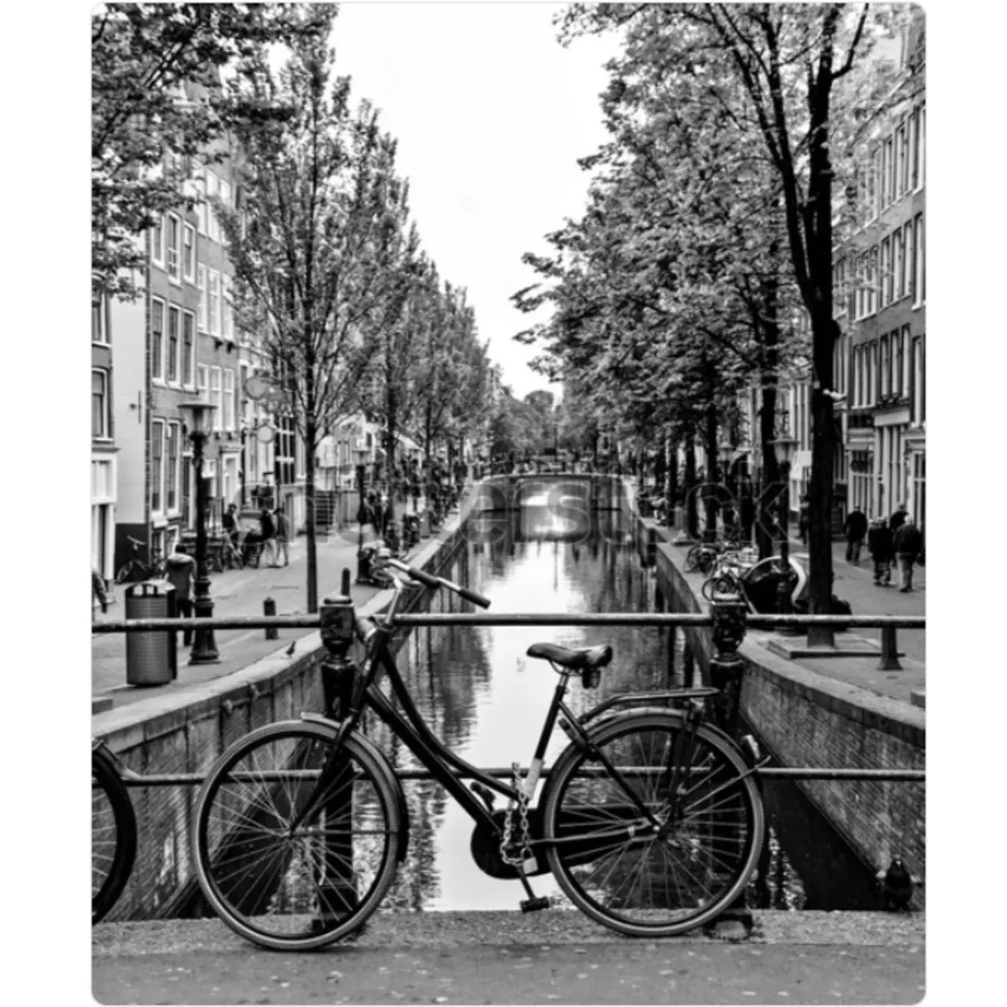 Affiche encadrée Ayu noir et blanc 70x100cm