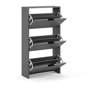 Zapatero de 3 puertas abatibles en gris grafito 60x113 cm Remi Gris Grafito
