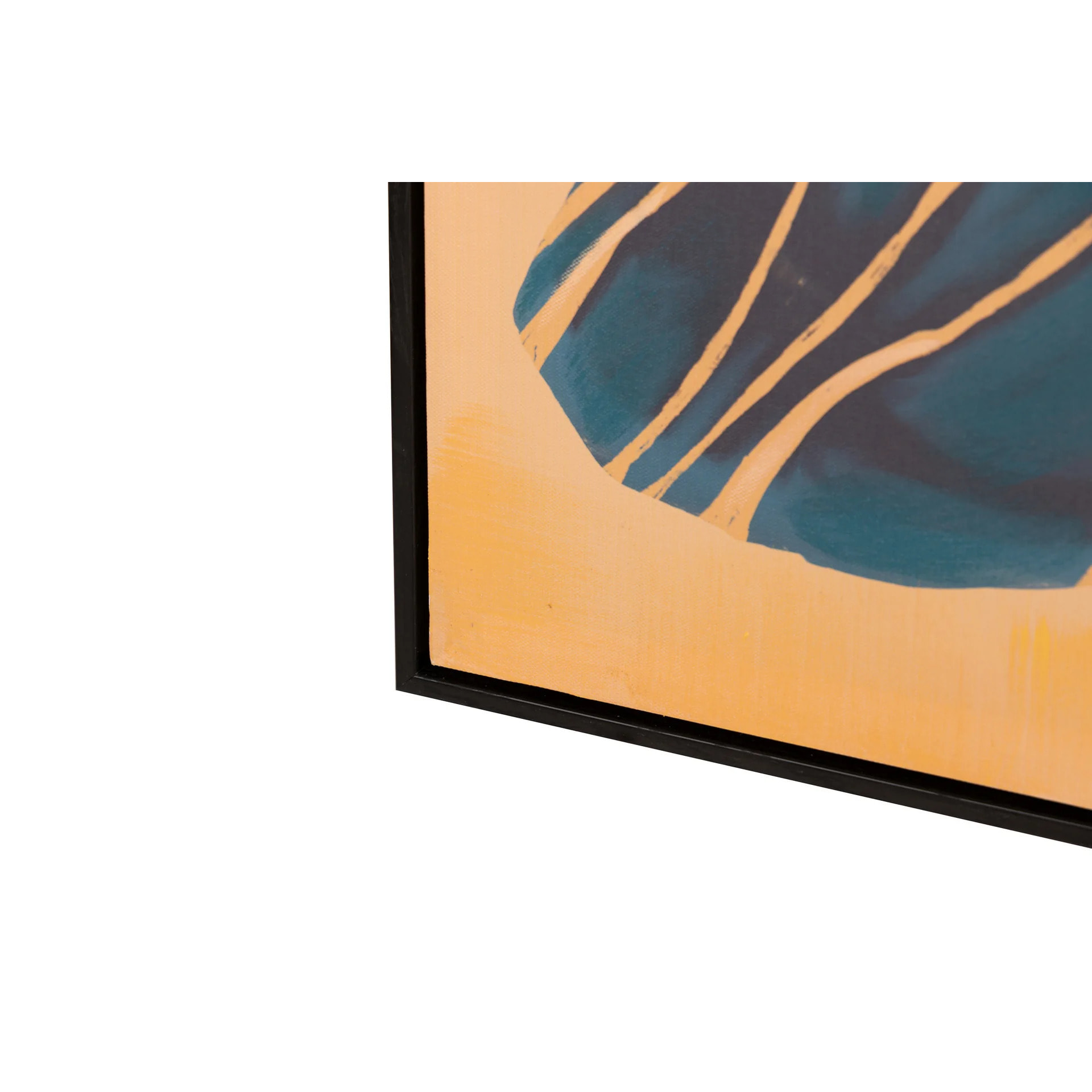 Set 2 Cuadros Mariposas Con Marco Negro 90x4x60 Cm