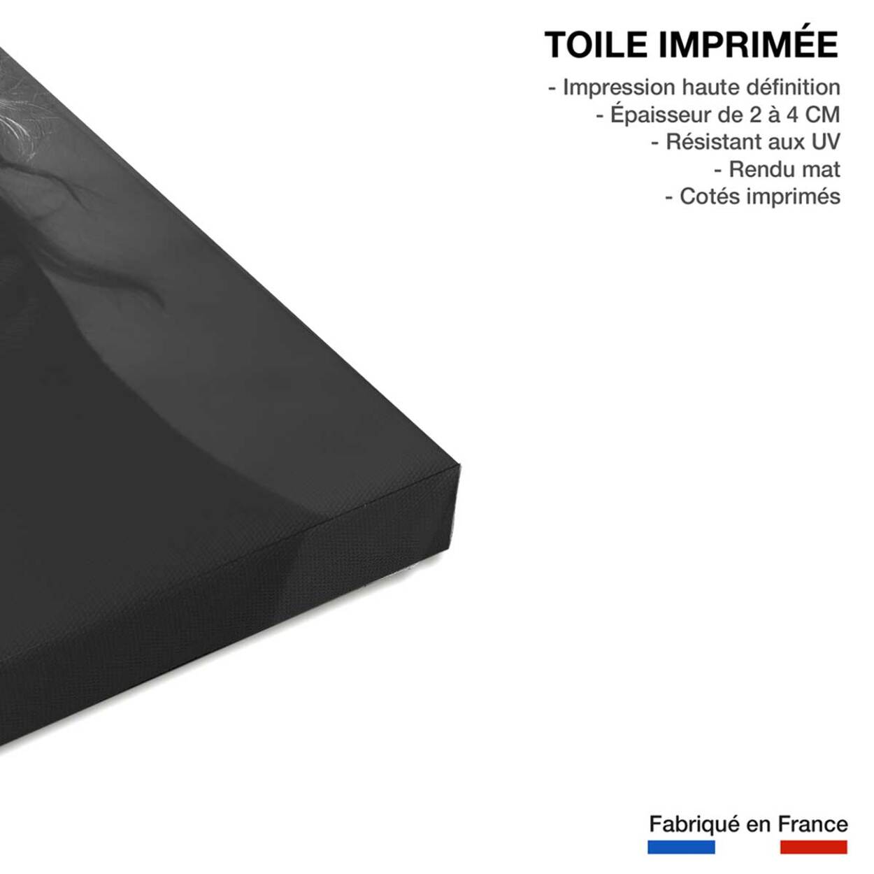 Tableau noir et blanc  studio Viki Toile imprimée