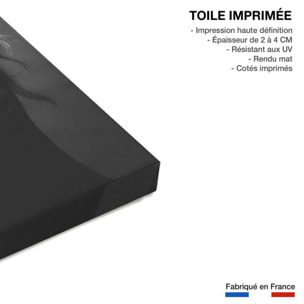 Tableau noir et blanc  studio Viki Toile imprimée