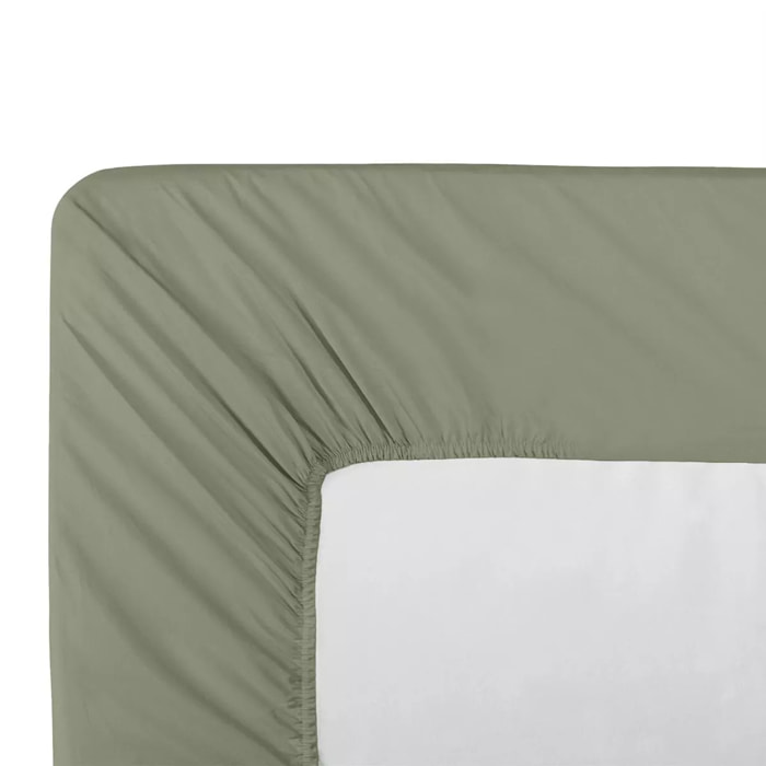 Drap housse b30 percale de coton uni vert La percale francaise verde
