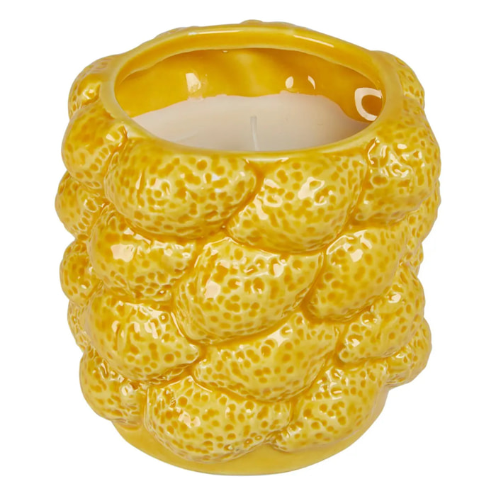 Bougie parfumée Yucatan 330g pot céramique agrumes