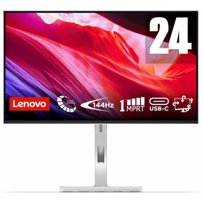 Ecran PC LENOVO L24D-4C 24'' Full HD WLED USB C 75W