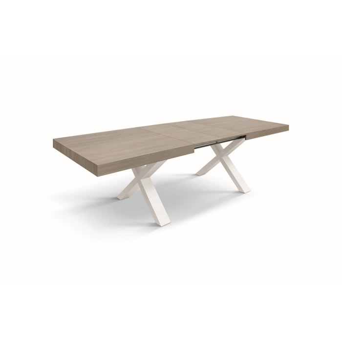 Tavolo allungabile AMALFI in legno effetto olmo perla e gambe a X bianche, allungabile 160x90 cm - 240x90 cm