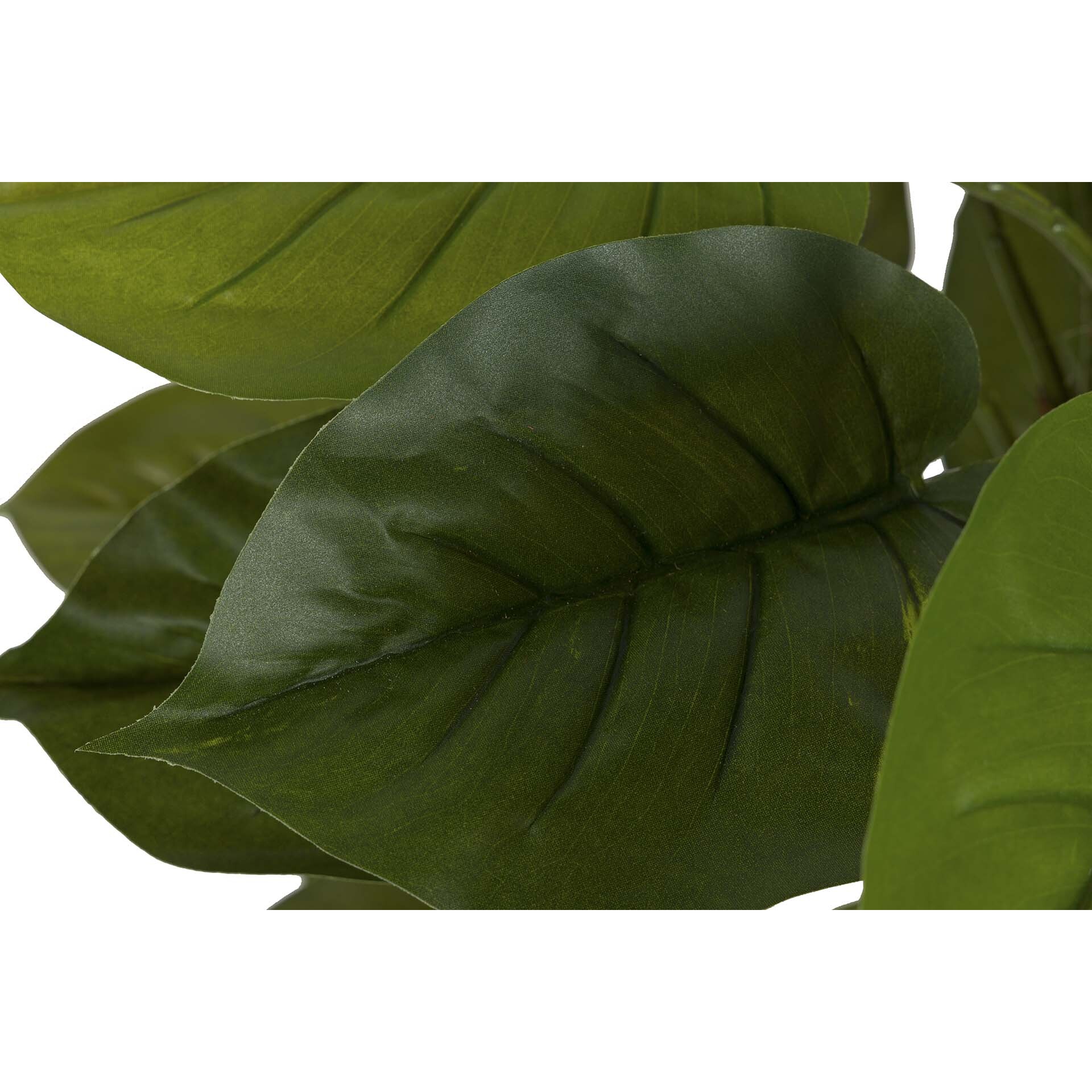 Planta Artificial Rhadhidophora Aureum Con Maceta 50x50x73 Cm