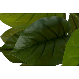 Planta Artificial Rhadhidophora Aureum Con Maceta 50x50x73 Cm