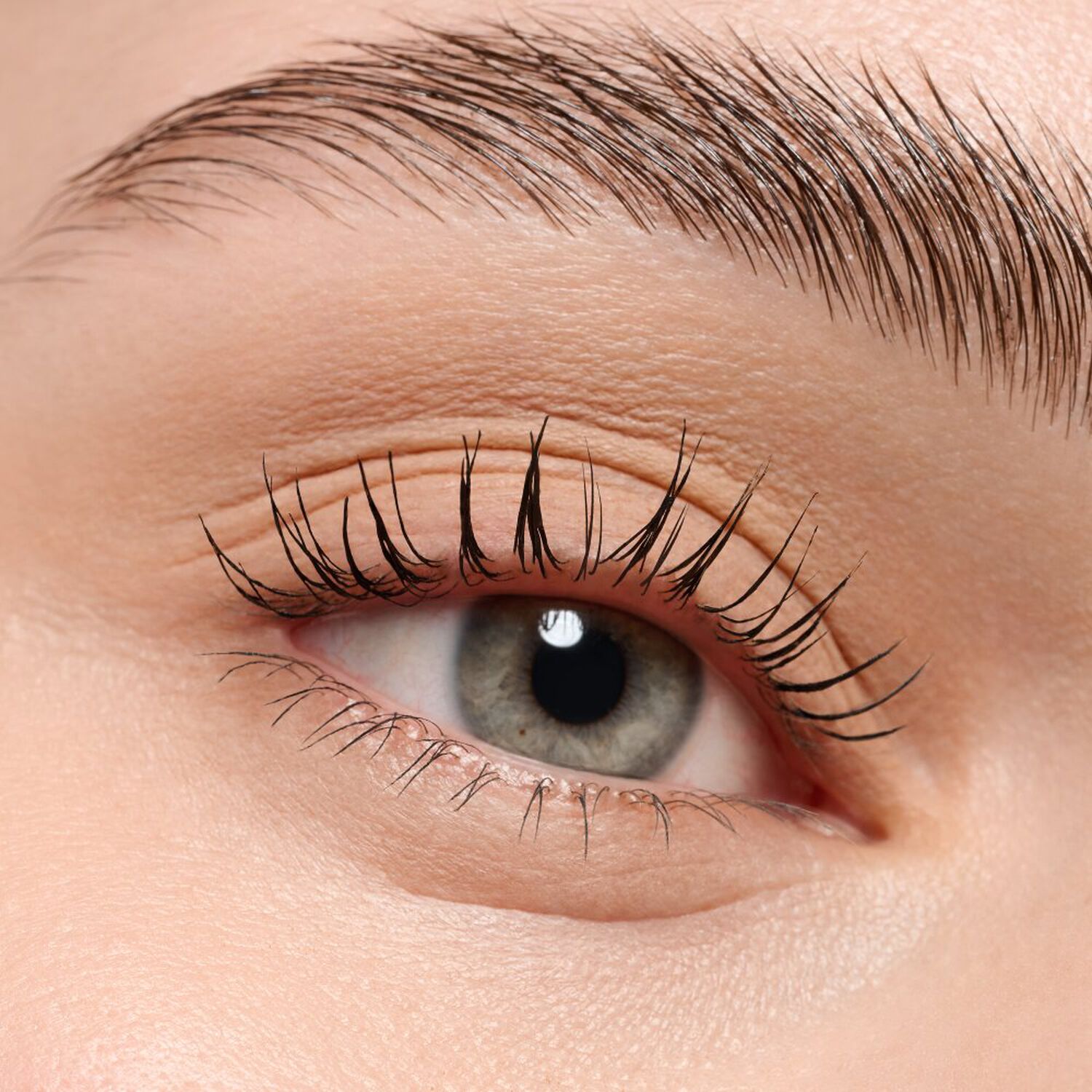 Mono Eyeshadow Matte - Ombre à Paupières Fini Mat Velouté