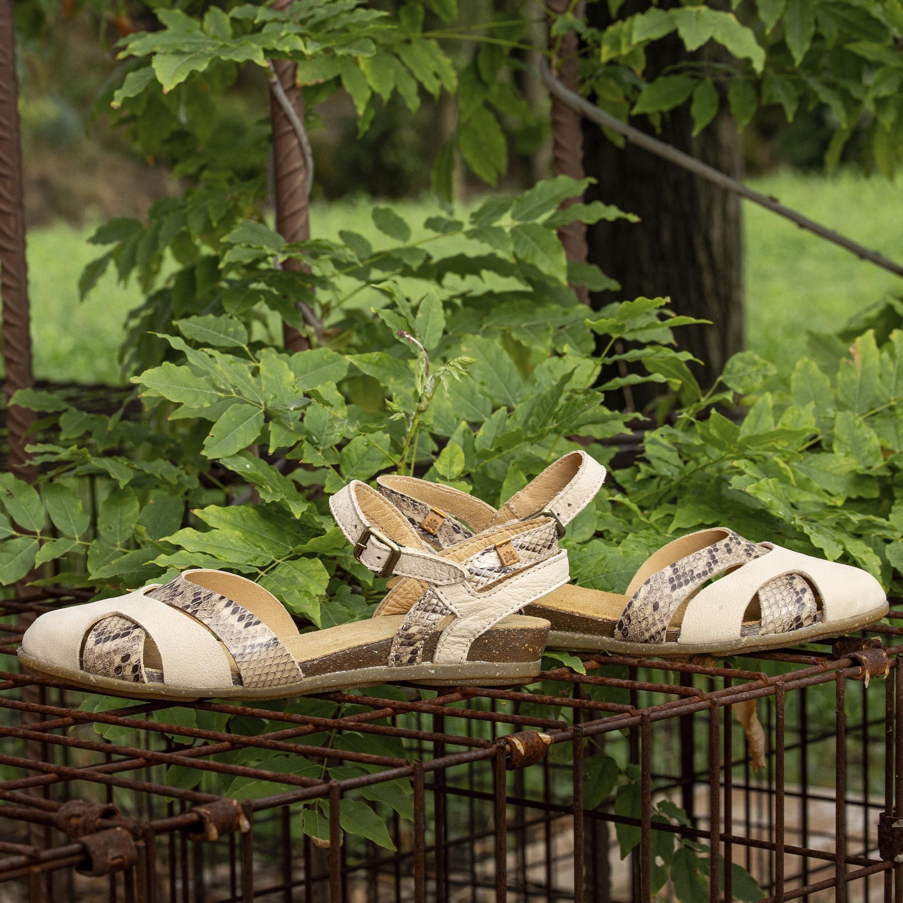 Sandalias N5207S NOBUCK-SNAKE BEIG/ STELLA color Beig