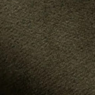 Lot de 2 chaises en velours vert et pieds en métal noir - Pénélope