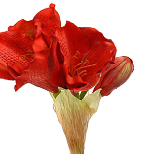 Fiore Di Amaryllis Altezza 77 Cm - Pezzi 4 - 16X77X14cm - Colore: Rosso - Bianchi Dino - Fiori Artificiali