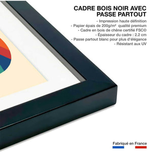 Affiche enfant rainbow fox Affiche + cadre en bois - Noir