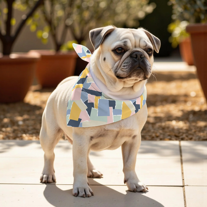 Pack de 2 bandanas pour animaux 0120-141